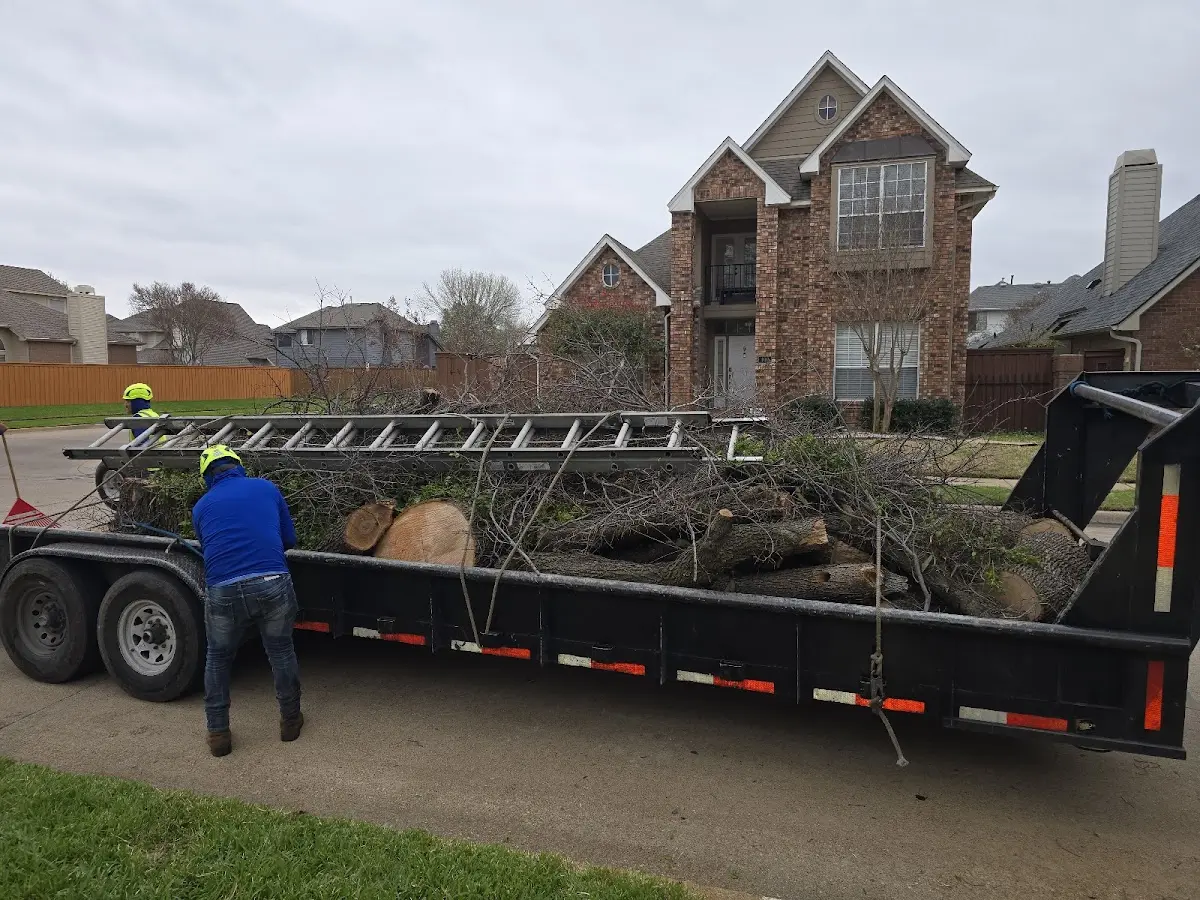 Expert Tree Removal with proper safety equipment in Churchton
